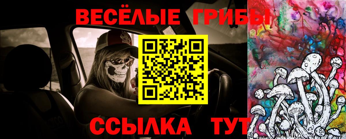 Галлюциногенные грибы ЛСД Бирск